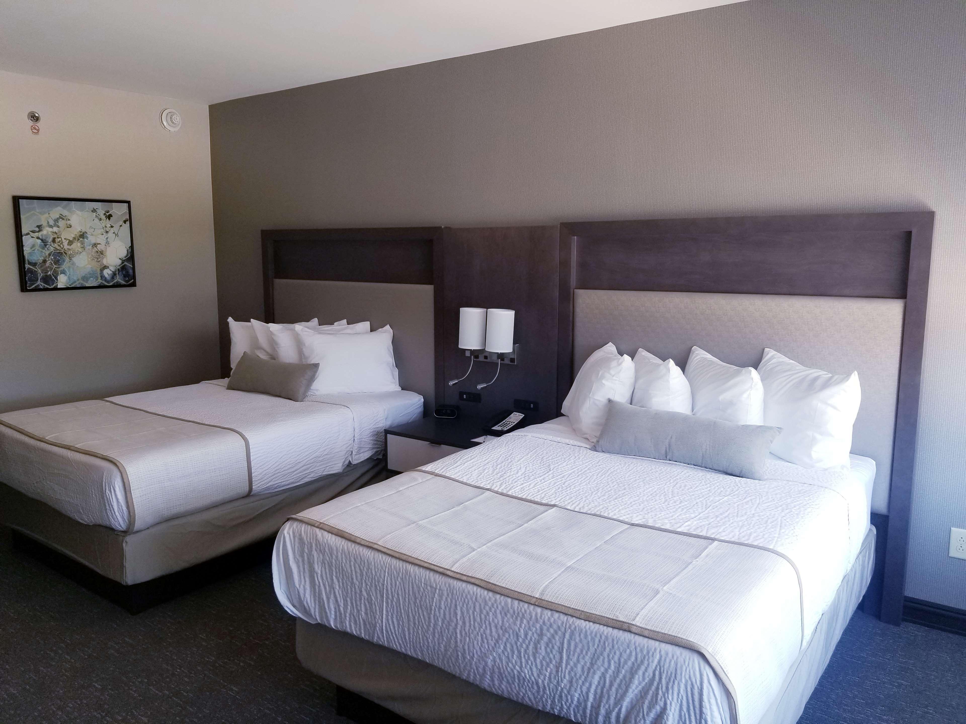 Best Western Plus Executive Residency Rigby'S Water World Hotel Ворнер-Робінс Екстер'єр фото