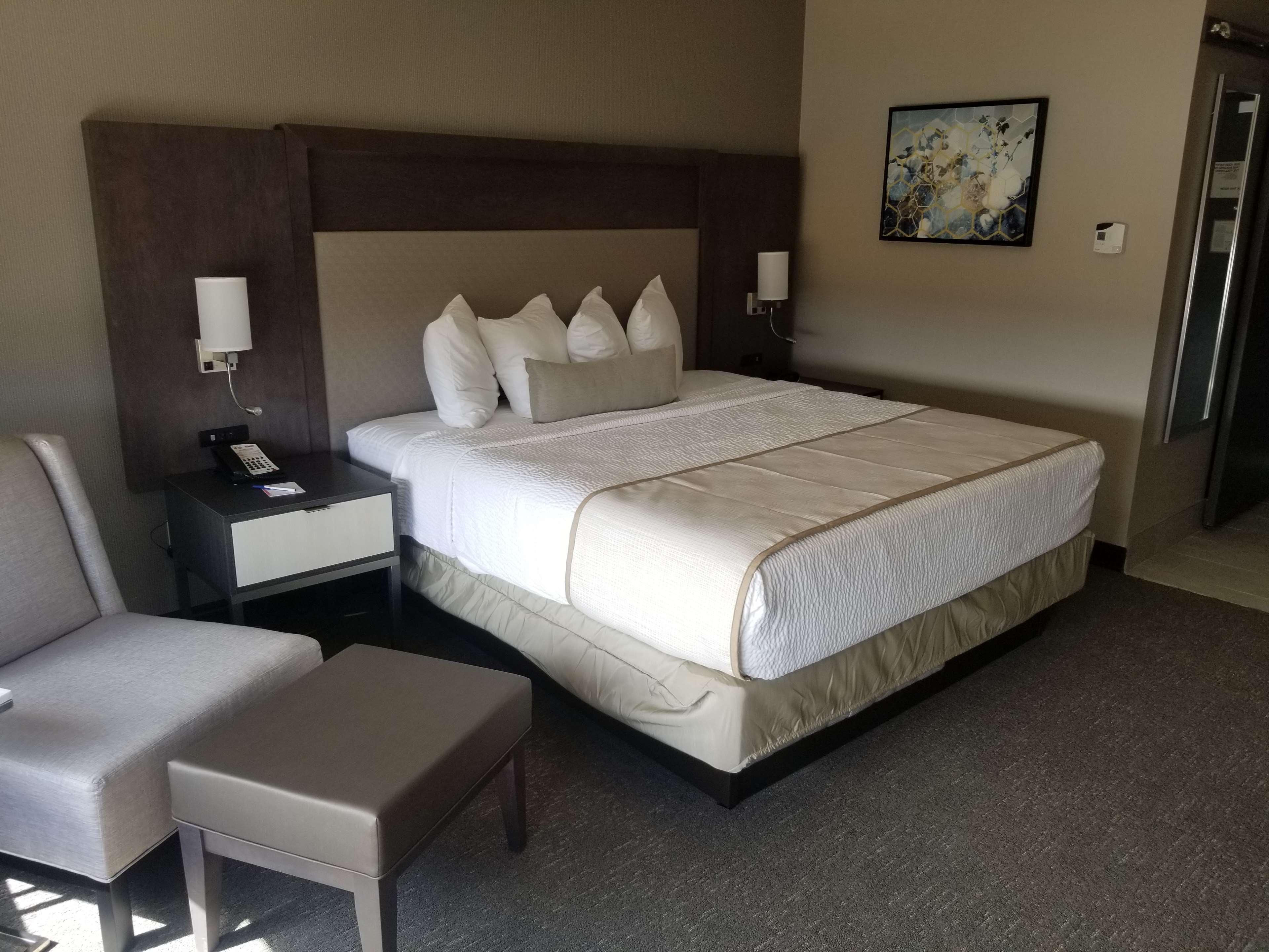 Best Western Plus Executive Residency Rigby'S Water World Hotel Ворнер-Робінс Екстер'єр фото